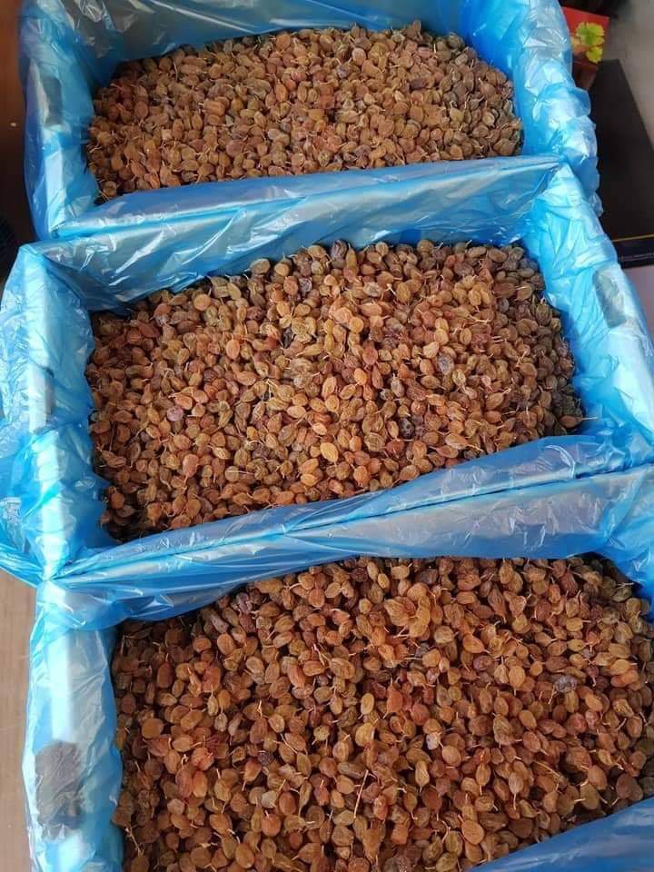 Nho khô rời  TL500g Red Desert (Giống nho Sunmuscat) Úc