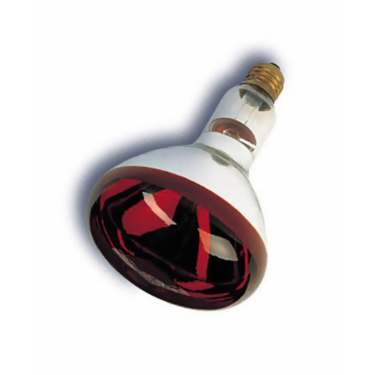 Bóng đèn sưởi hồng ngoại dành cho cho chó mèo