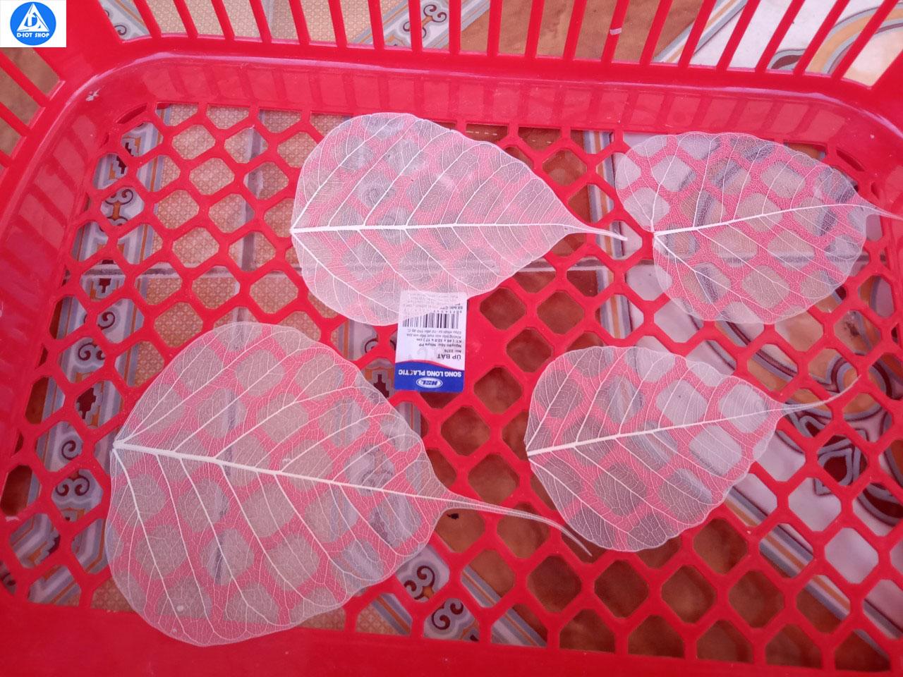 lá bồ đề tự nhiên