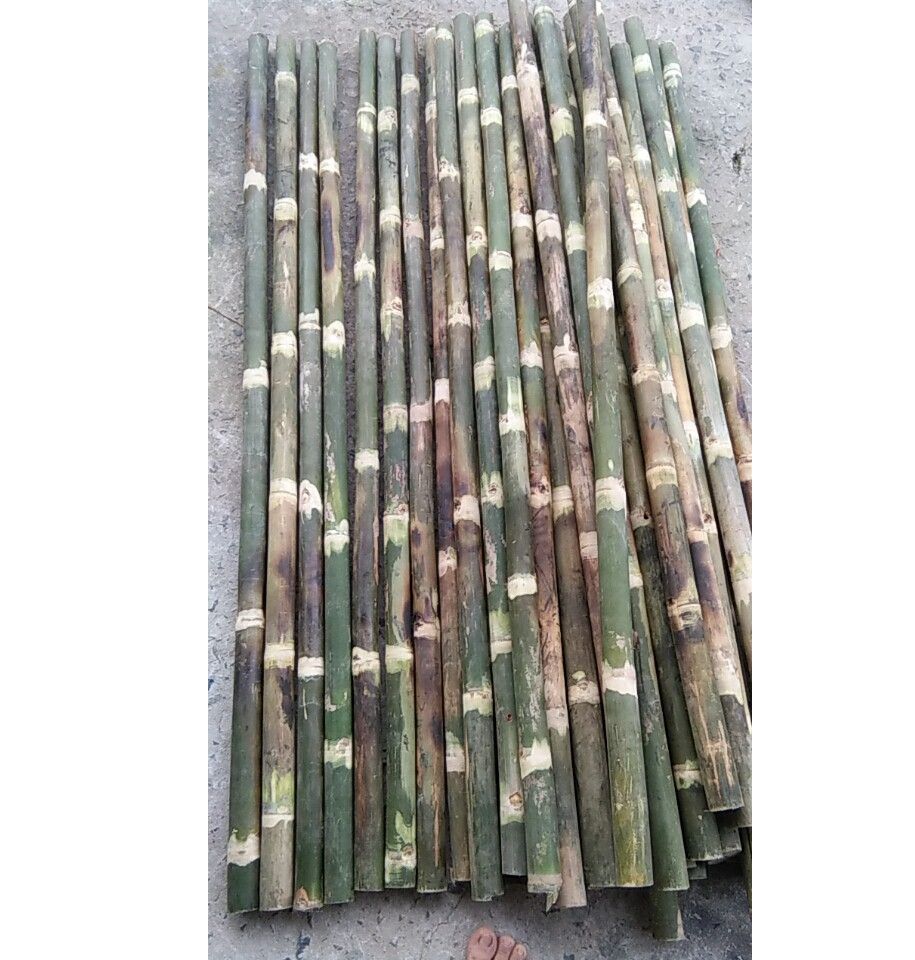 Set of 2 Hoes and 2 Bamboo Shovels, 1 Meter Long