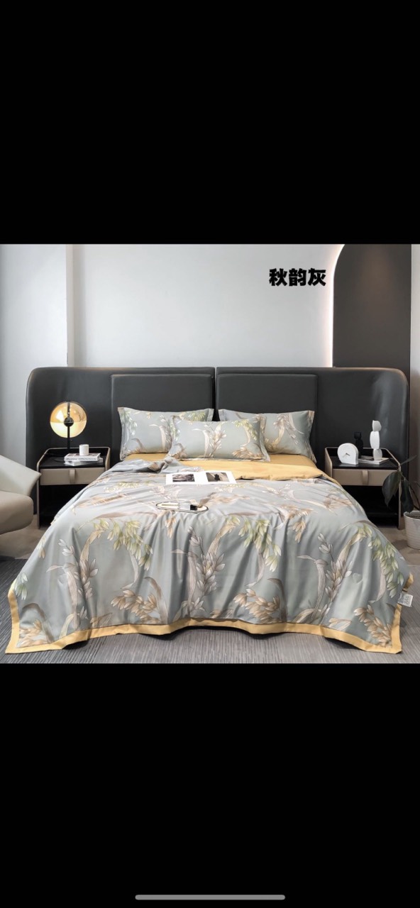 Bộ chăn ga lụa thái