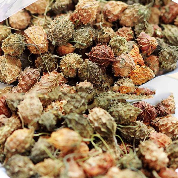 Khổ qua rừng Măng Đen (Túi 250g)