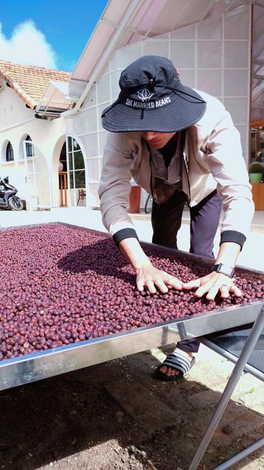Cà phê bột nguyên chất - Cà phê rang xay nguyên chất - (Dak Lak) 500g