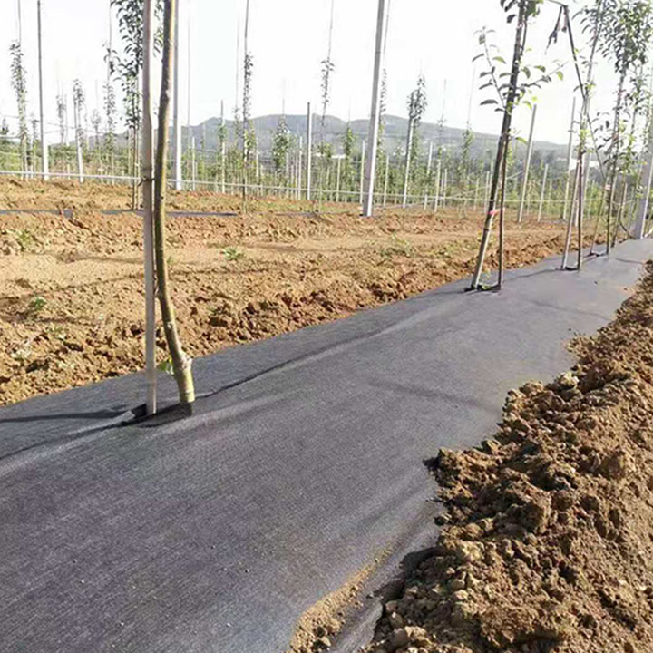Bạt phủ đất chống cỏ mọc, chống sói mòn đất