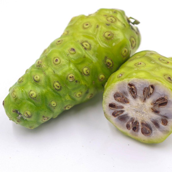 [HCM]Bột Trái Nhàu Nguyên Chất 100g