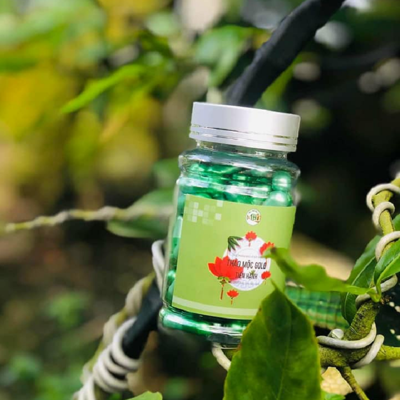 Thảo Mộc Tăng Cân Gold Tiến Hạnh