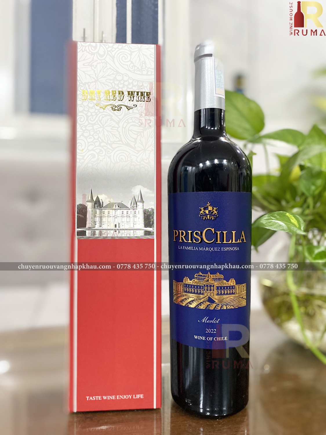 Vang Chile PrisCilla nhập khẩu - Nước Nho không qua chưng cất