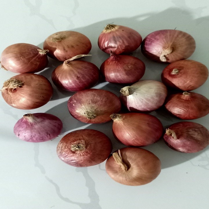 Củ Hành Tím đắk lắk 1kg