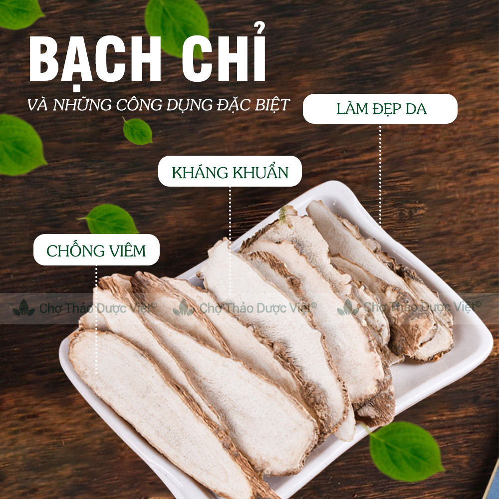 Bạch chỉ khô 1kg, thái lát mỏng, trắng, thơm, hỗ trợ sức khỏe - Chợ Thảo Dược Việt