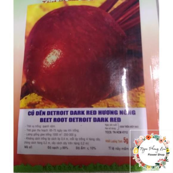 Hạt Giống Củ Dền - Gói 5 Gram