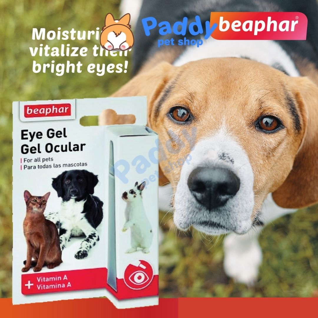 Vệ Sinh Tai, Mắt Chó Mèo Beaphar (Nhập khẩu Hà Lan)