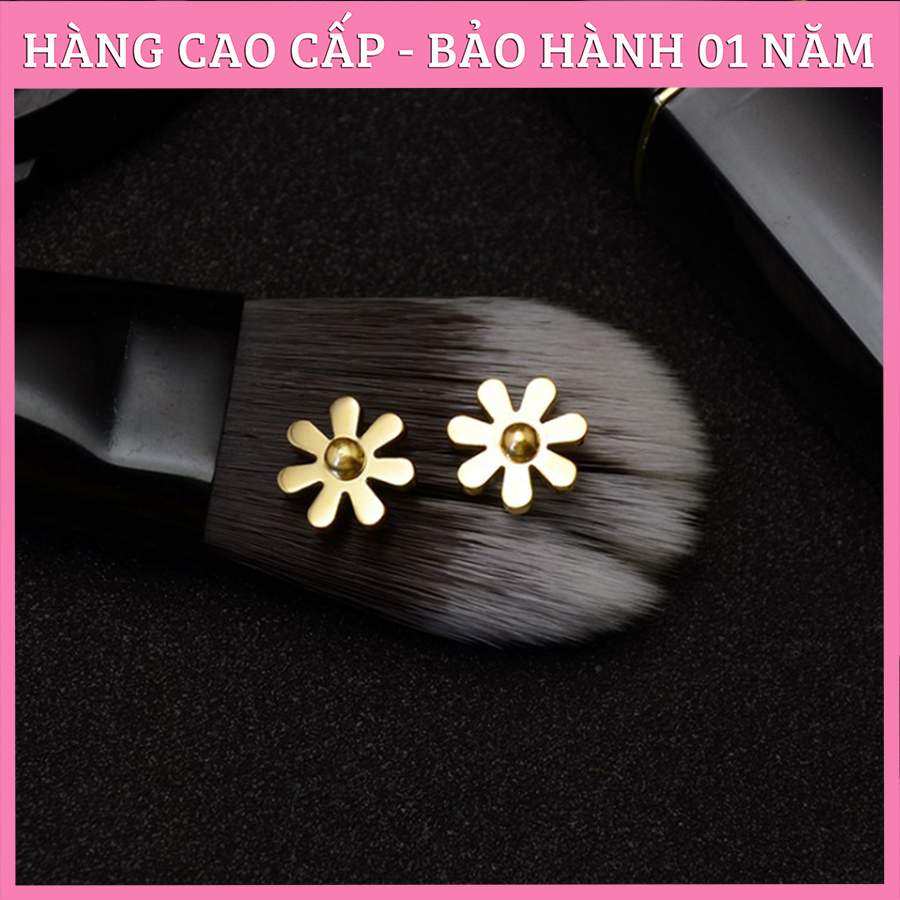 Bông Tai Nữ, Hoa Tai Titan Cúc Họa Mi