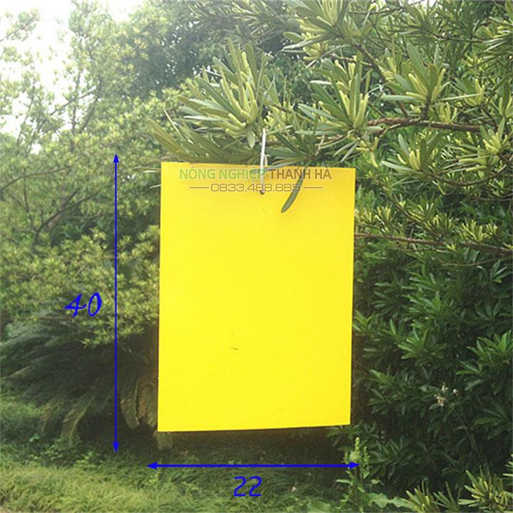 Miếng dán bẫy ruồi vàng, côn trùng kích thước 22x40 cm