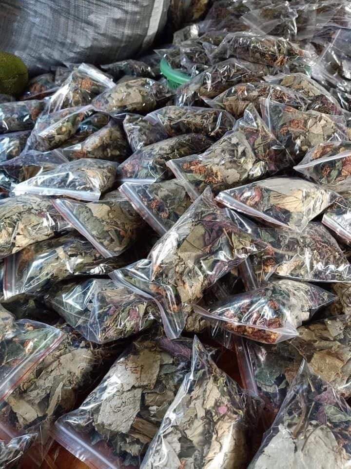 Lá nam giảm cân Cô Gái Núi