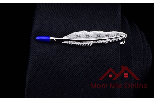 [HCM]Kẹp cà vạt mẫu hình độc đáo màu bạc