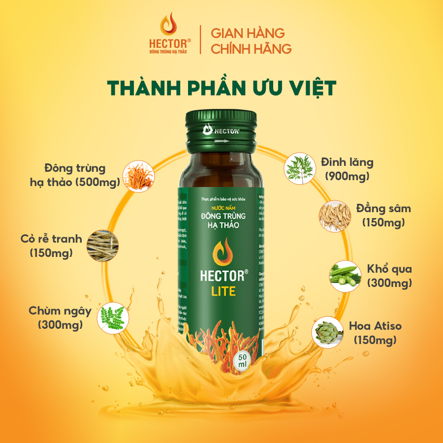 Nước Nấm Đông Trùng Hạ Thảo Hector Lite (Hộp 10 chai)
