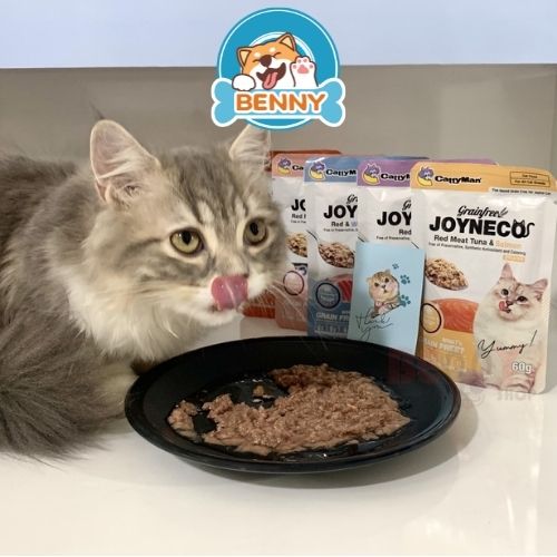 Pate Cho Mèo Biếng Ăn JOYNECO - Gói 60G