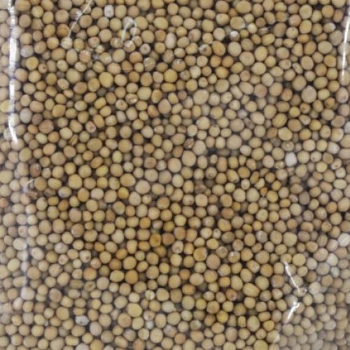 Hạt Giống Ngò Bạc Liêu, Hạt Bể Trang Nông