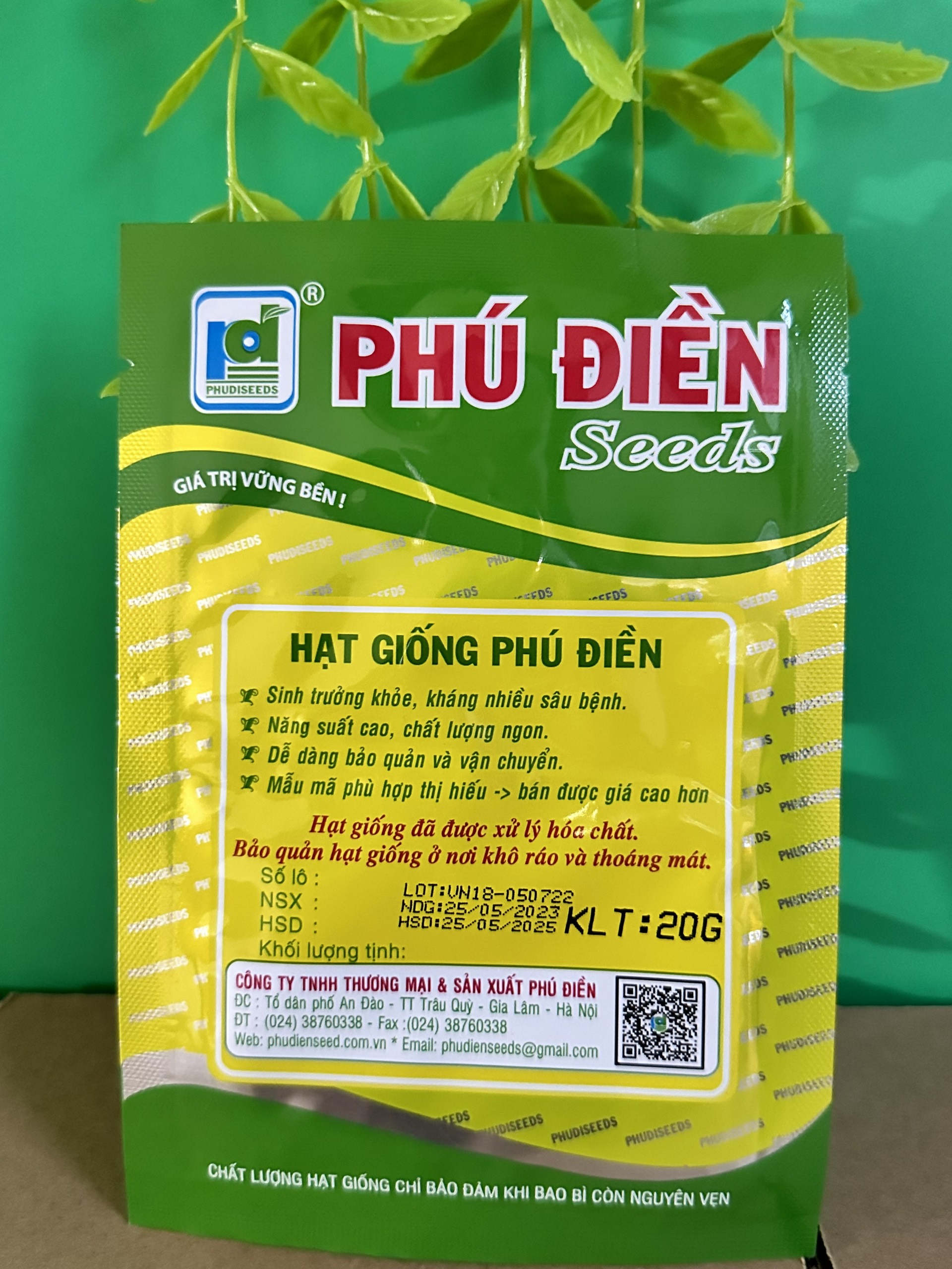 Hạt giống rau mầm rau cải ngọt