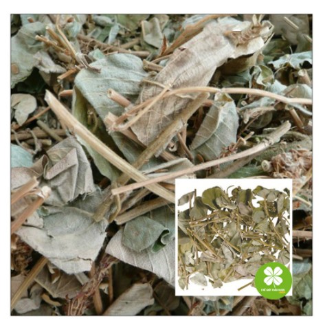 Kim tiền thảo (gói 1kg khô) - DTX006