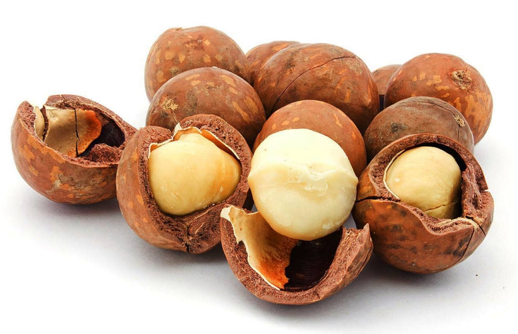 Hạt mắc ca 0,5kg ( tặng đồ tách hạt)