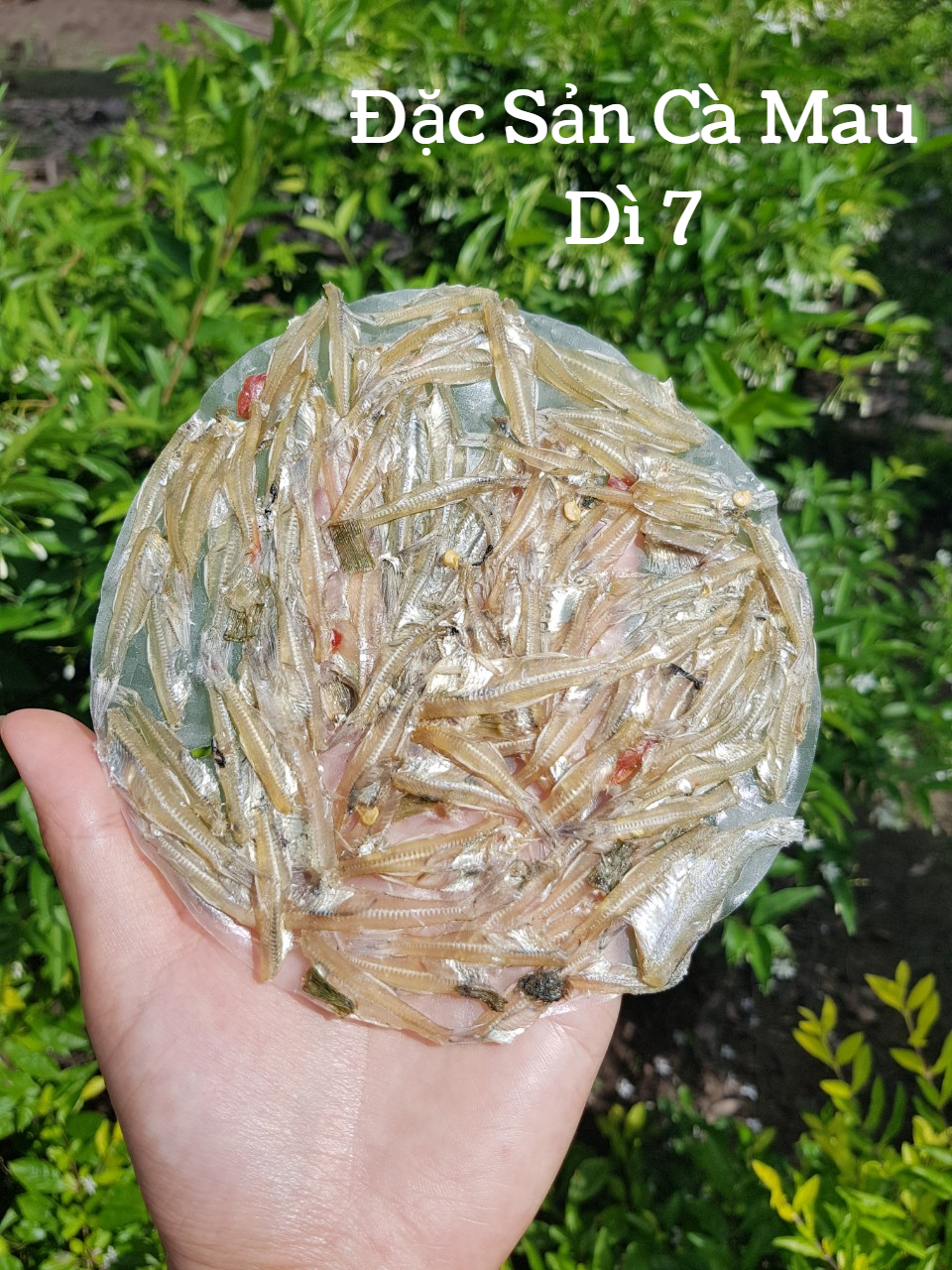 [SP dùng thử] 100GRAM Bánh tráng cá cơm Cà Mau loại đặc biệt