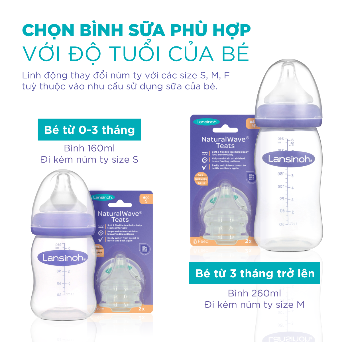 Combo 2 Bình Sữa Cổ Rộng Lansinoh 240ml