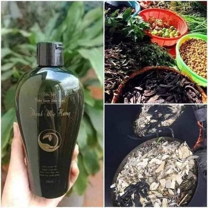DẦU GỘI THẢO DƯỢC THANH MỘC HƯƠNG Mẫu Mới