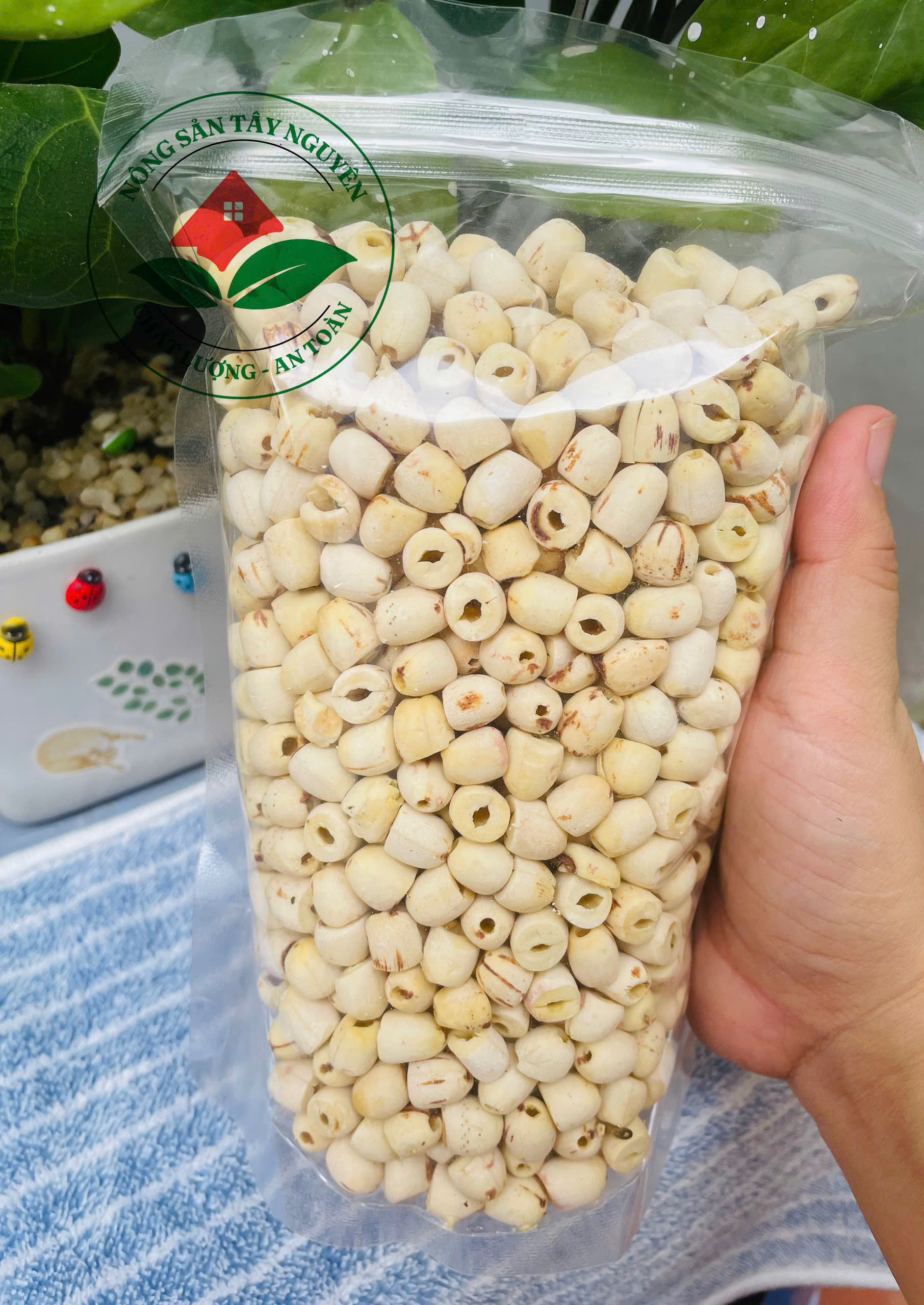Hạt Sen Khô Đồng Tháp 500gr Sấy Khô Đặc Biệt