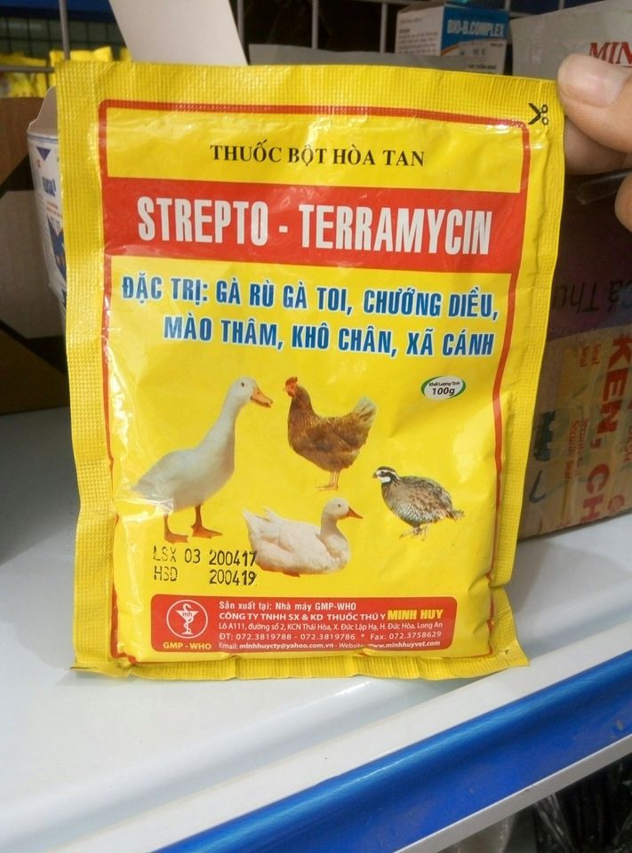 Combo 2 bịch gà rù, gà toi minh huy