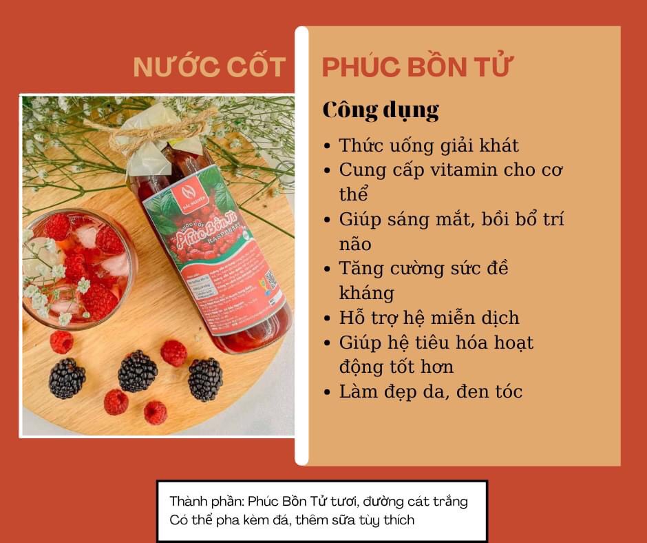 Nước Cốt Phúc Bồn Tử