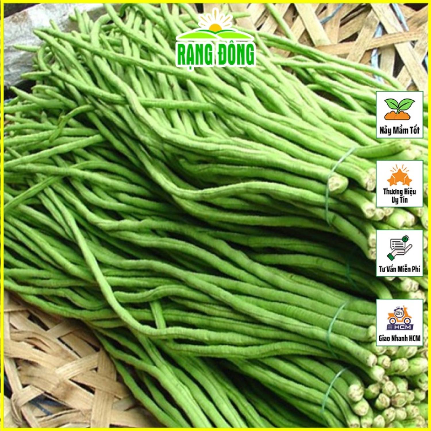 Hạt giống Đậu Đũa Ngọt Bụi Lùn Trồng Quanh Năm, Cây Sinh Trưởng Khỏe - Hạt giống Rạng Đông