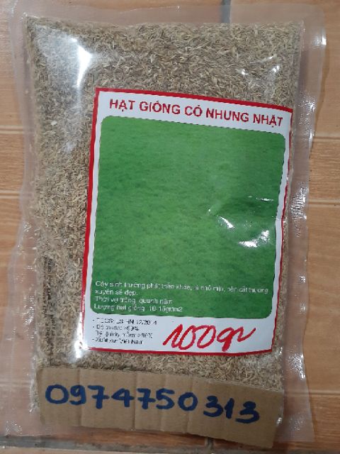 Hạt giống cỏ nhung nhật gói 100gr