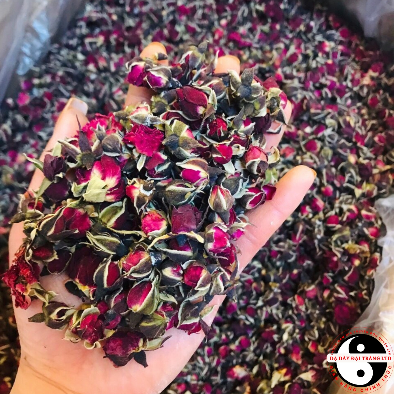 Trà nụ hoa hồng khô Tây Tạng, sấy lạnh thượng hạng giúp đẹp da, tăng cường sức khoẻ, ngủ ngon giấc. Nụ hồng khô hữu cơ organic uống trà Đà Lạt