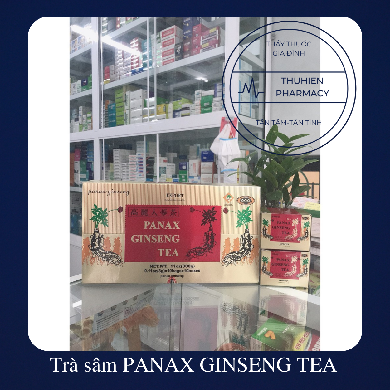 Trà sâm panax ginseng tea hộp 100 gói
