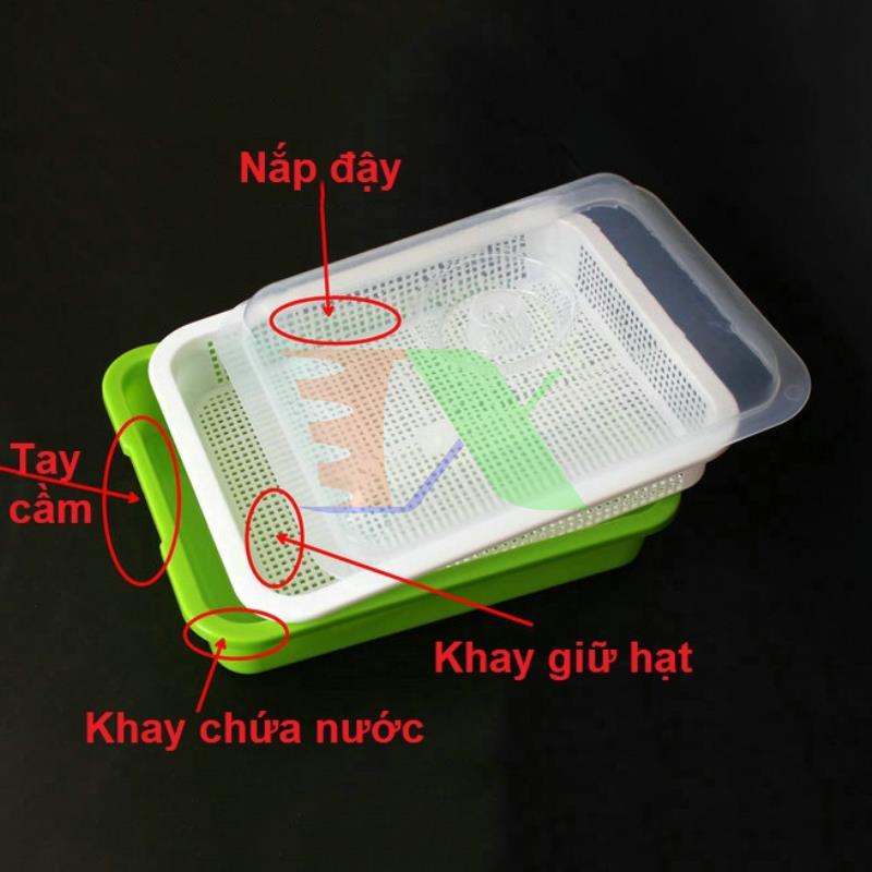 Bộ 3 khay trồng rau mầm thủy canh mam-103, chậu trồng rau mầm 3 lớp có nắp đậy
