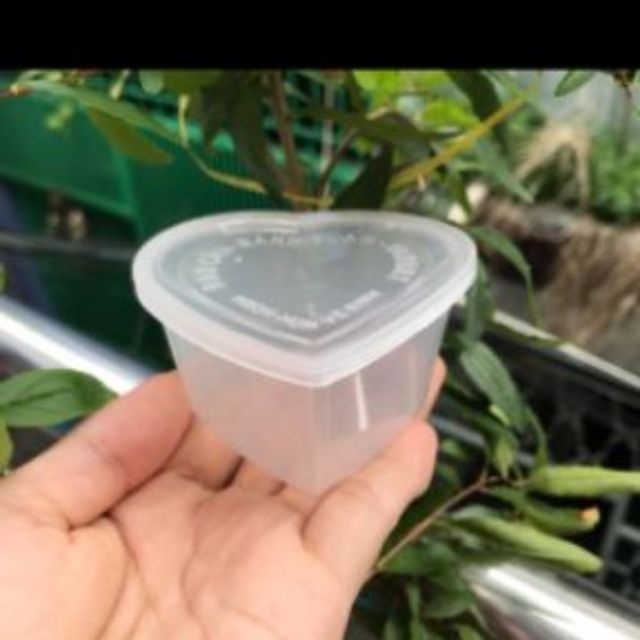 Combo 50 khuôn bánh flan hình trái tim
