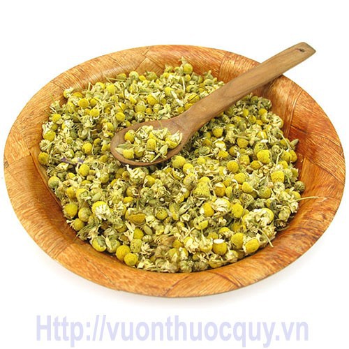 [HCM]Trà hoa cúc vàng nụ 100g