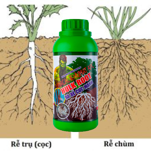 Vườn Xanh, Phân Bón Siêu Ra Rễ Cực Mạnh HULK ROOT 500ml