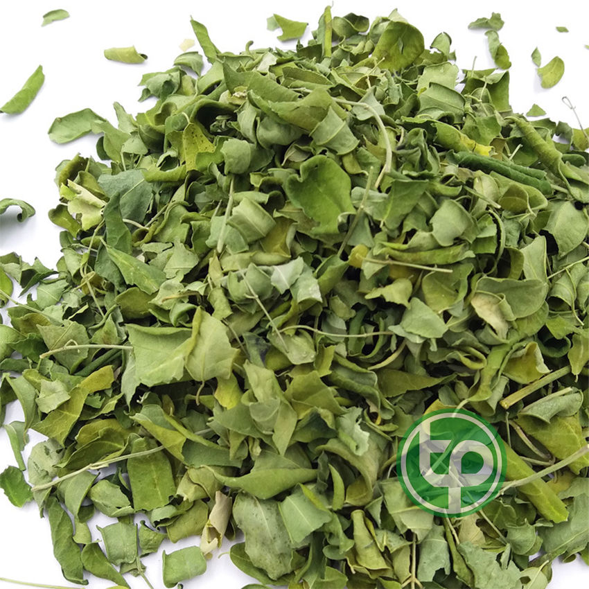 [HOT] Lá chùm ngây sấy khô 500g - Thảo Dược Tấn Phát