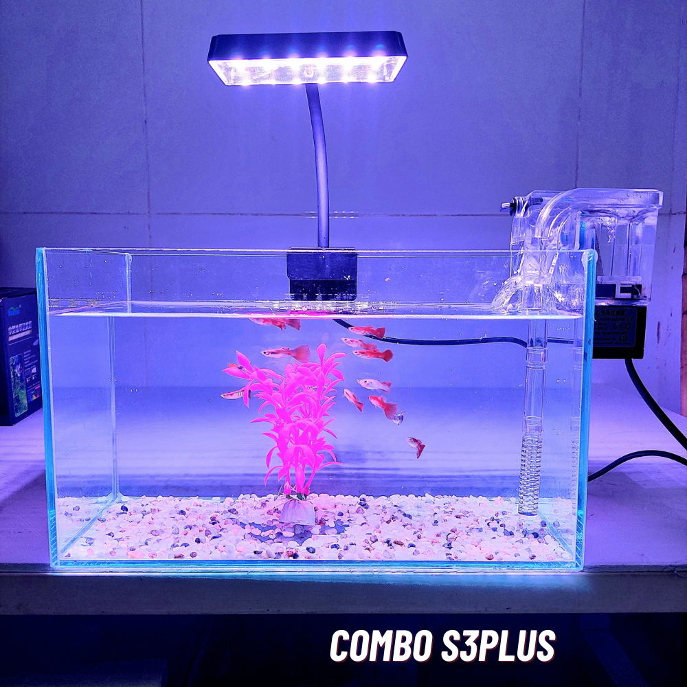 Bể cá mini 30cm COMBO đầy đủ phụ kiện