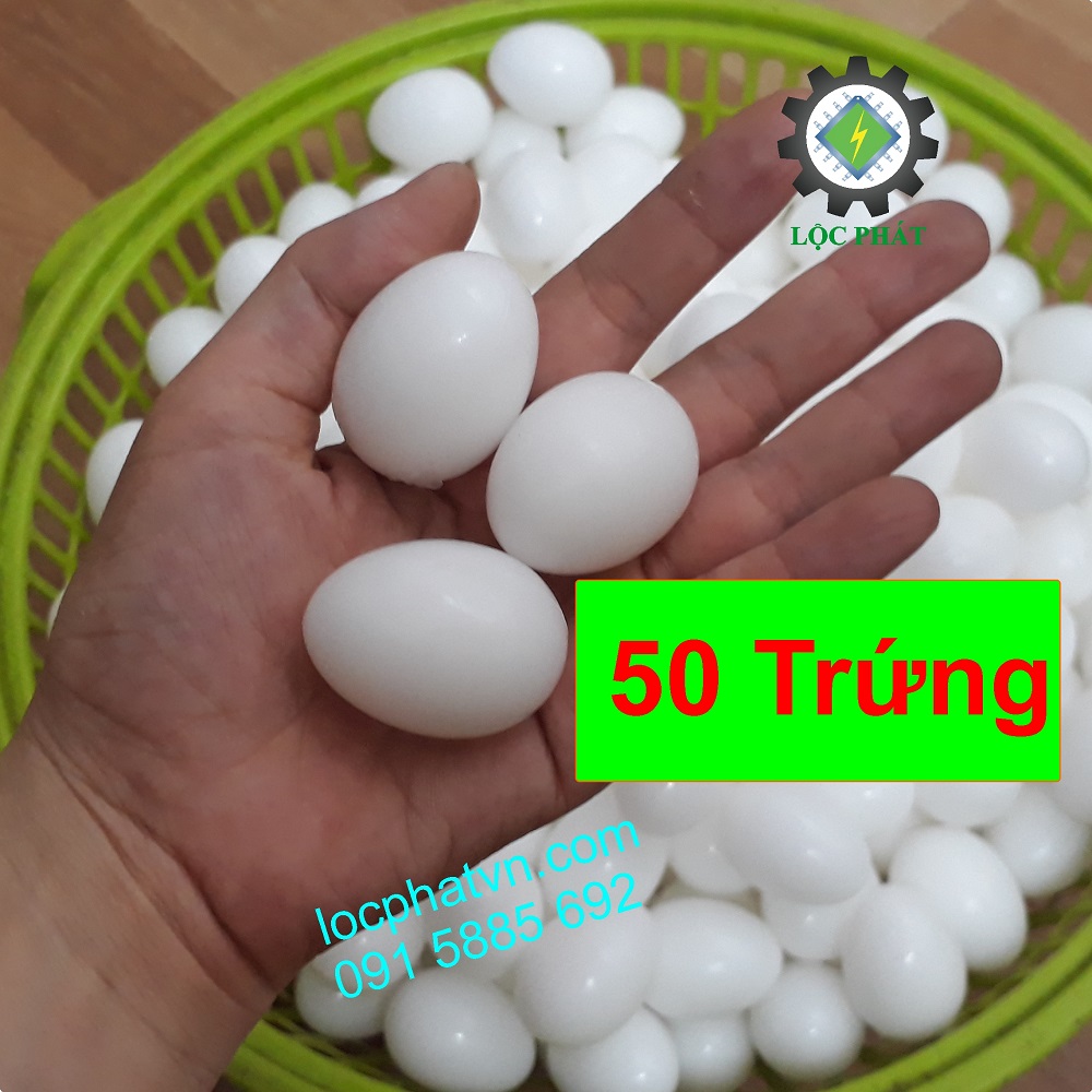 Combo 50 trứng đặc cho chim bồ câu - trứng bồ câu nhựa