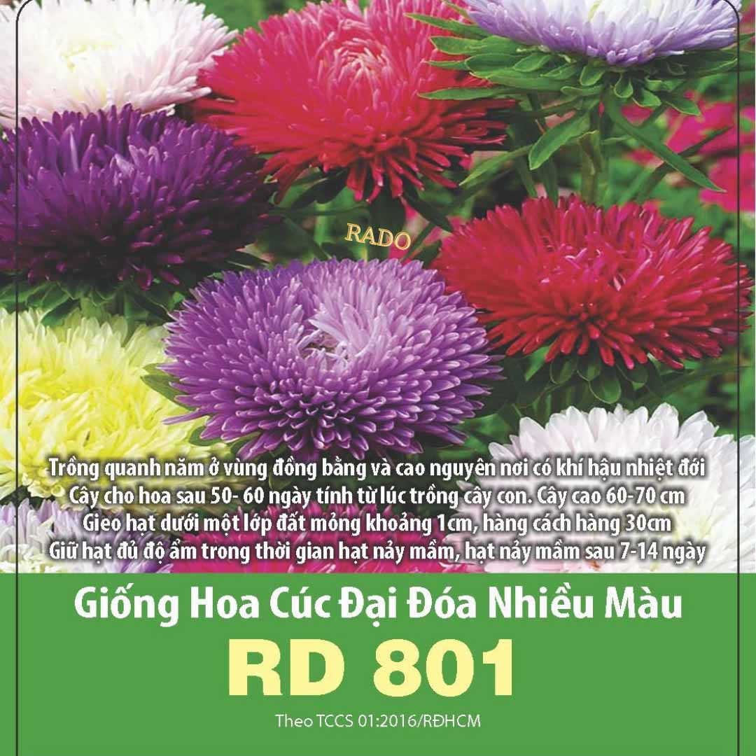 Hạt giống hoa cúc đại đóa nhiều màu