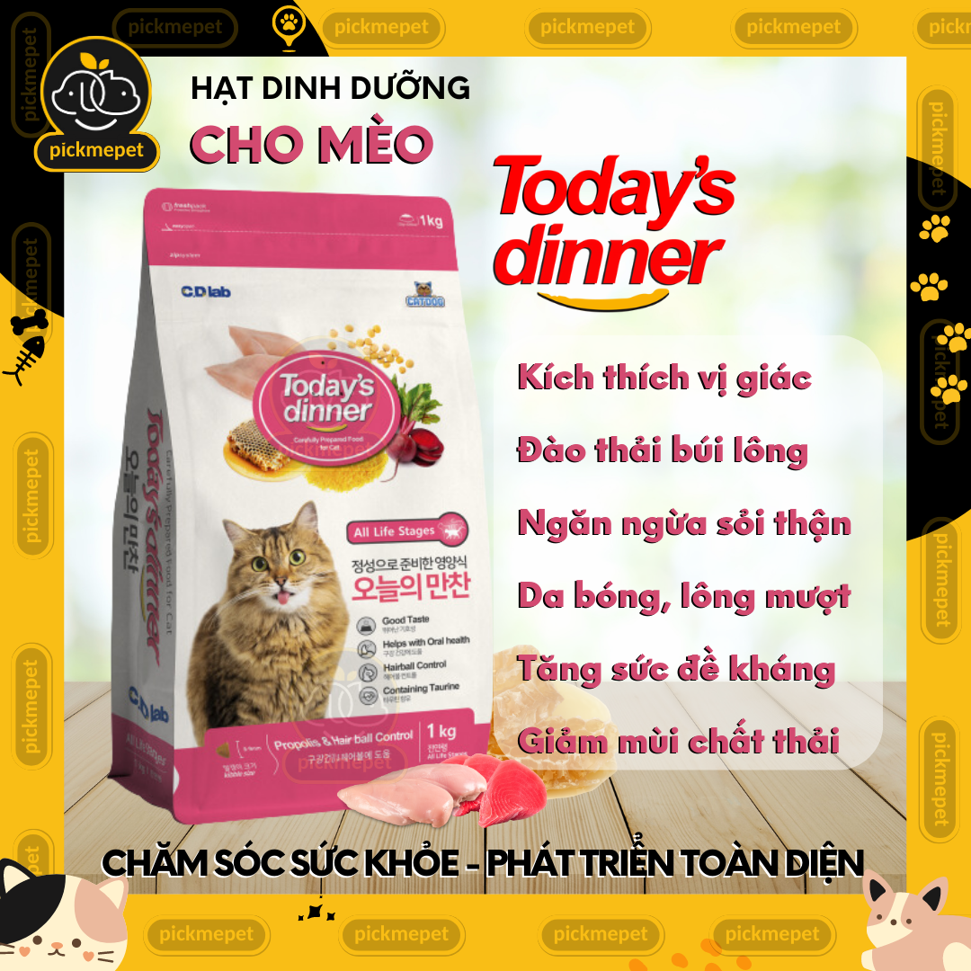 Today's Dinner Cat Food, Today Dinner for Cats of All Ages