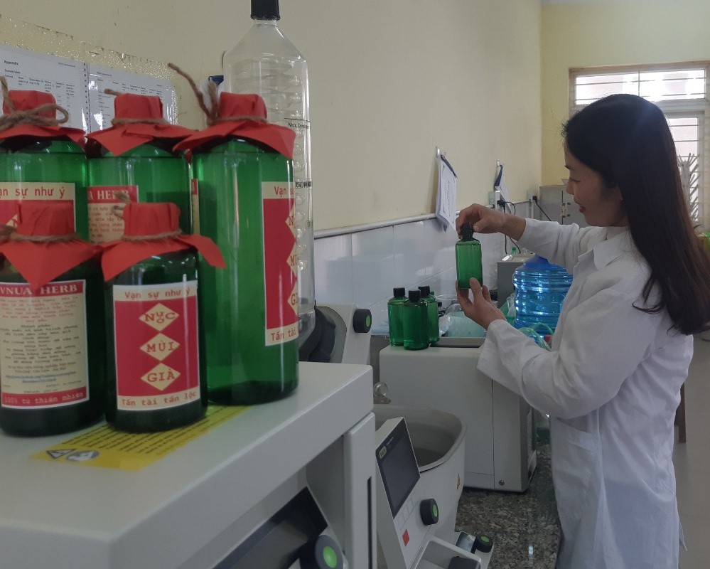 NƯỚC TẮM CÂY MÙI GIÀ- TINH DẦU MÙI