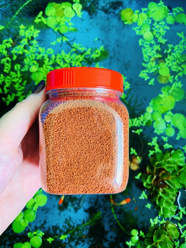 1 Hũ 100gram thức ăn Cám Thái Inve cho cá lên màu đẹp, giàu dinh dưỡng.
