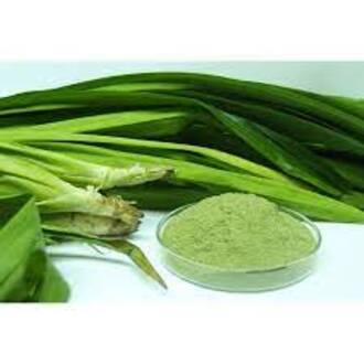 HƯƠNG LÁ DỨA DẠNG BỘT (PANDAN FLAVOR) HỘP 500GRAM