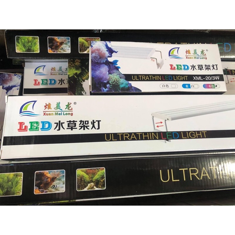 🐠 ĐÈN LED XUANMEILONG ĐỔI MÀU ( 3 chế độ )