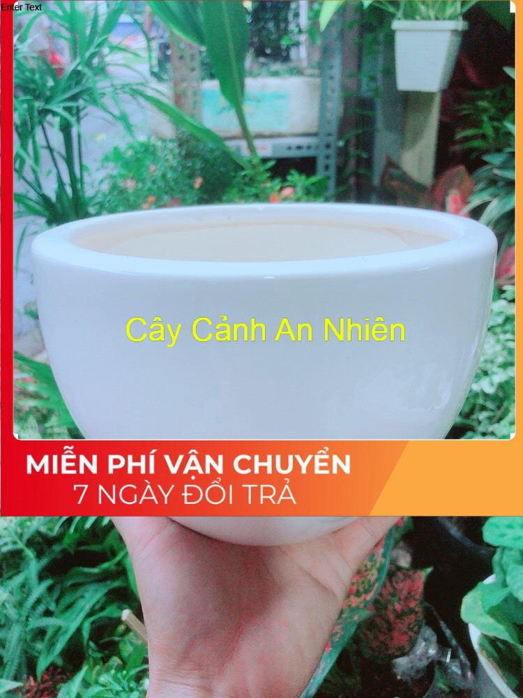 Chậu Trồng Cây