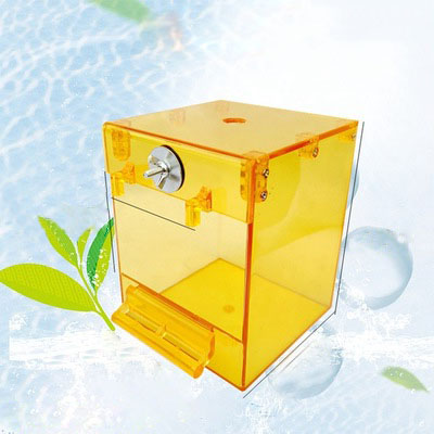 Hộp tắm cao cấp cho chim vẹt